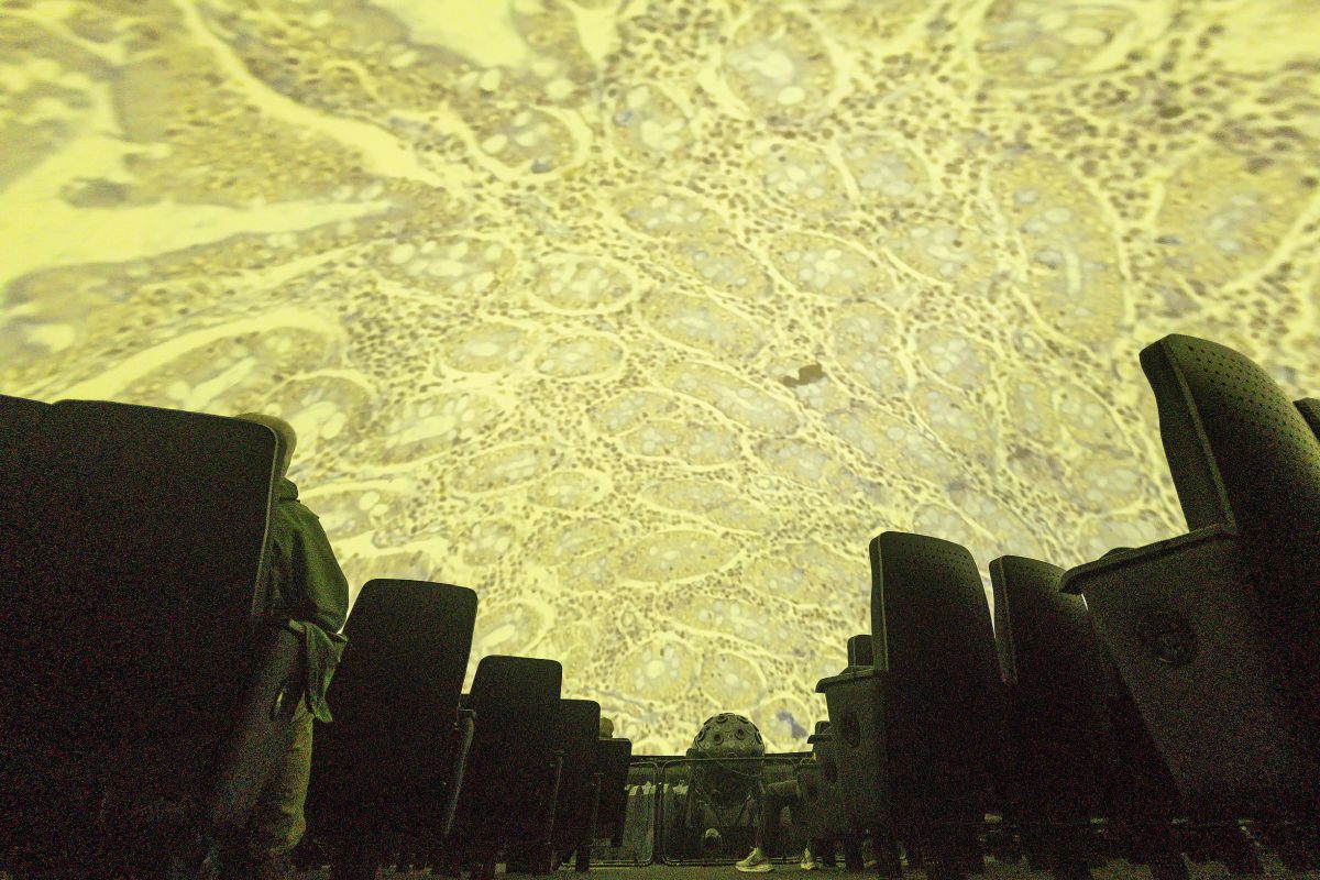 Planetarium_2026