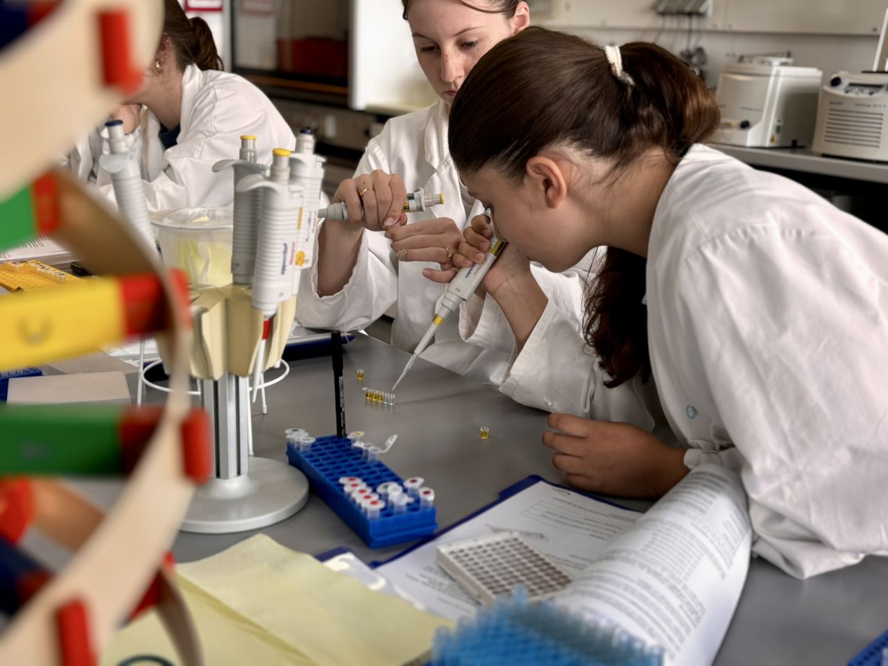 projektwoche-dzkj